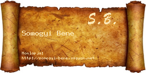 Somogyi Bene névjegykártya